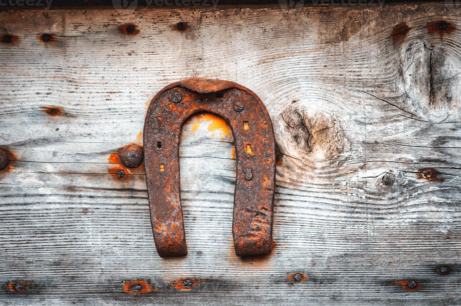 Old horseshoe hanging photo