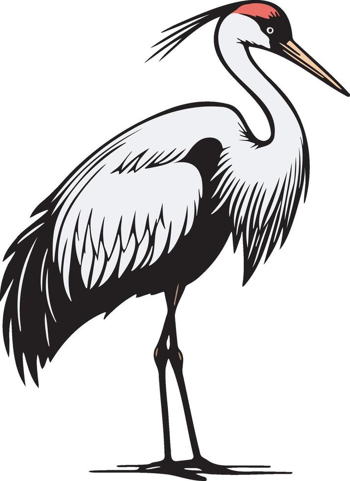 Heron Standing in Paddy Field. vector