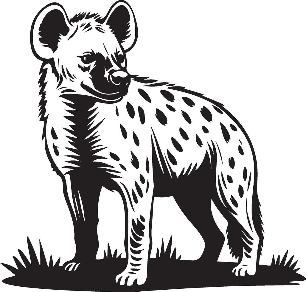 Hyena Sketch Drawing. vector
