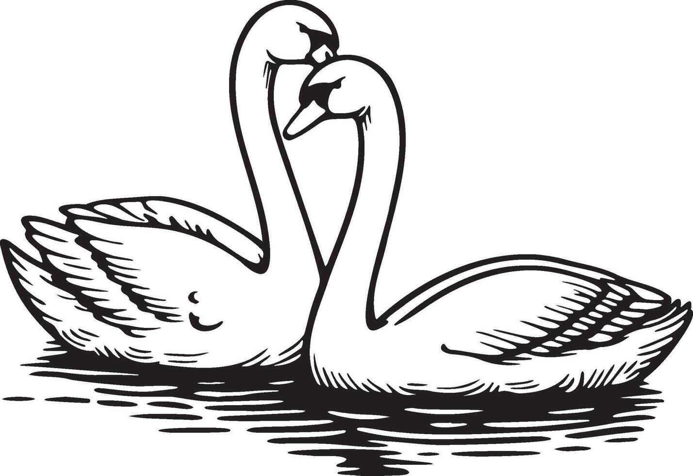 cisne Pareja en lago ilustración. vector