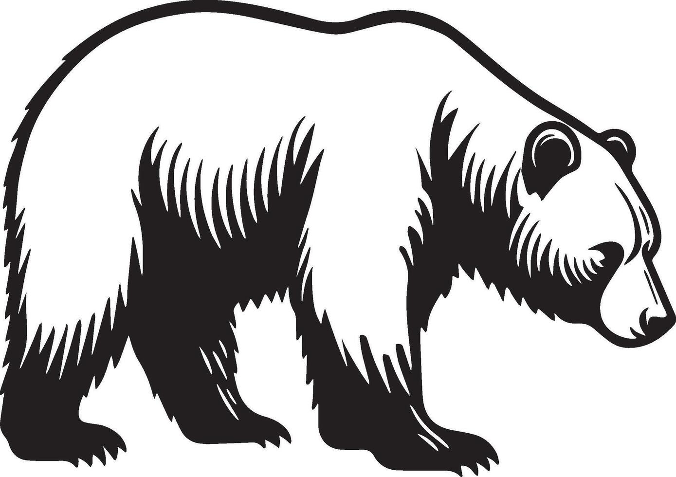 Bear Sketch Drawing. vector