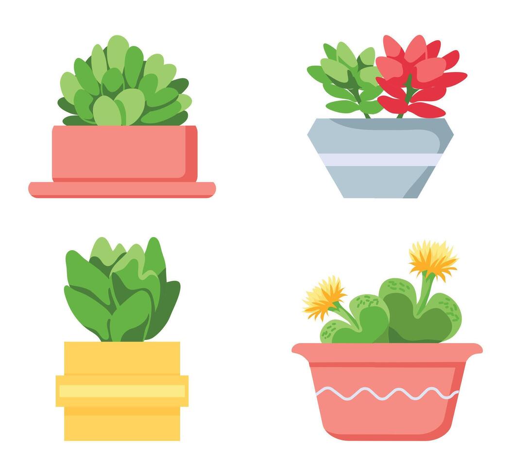 Pot color flowers plants bloom of collection vector