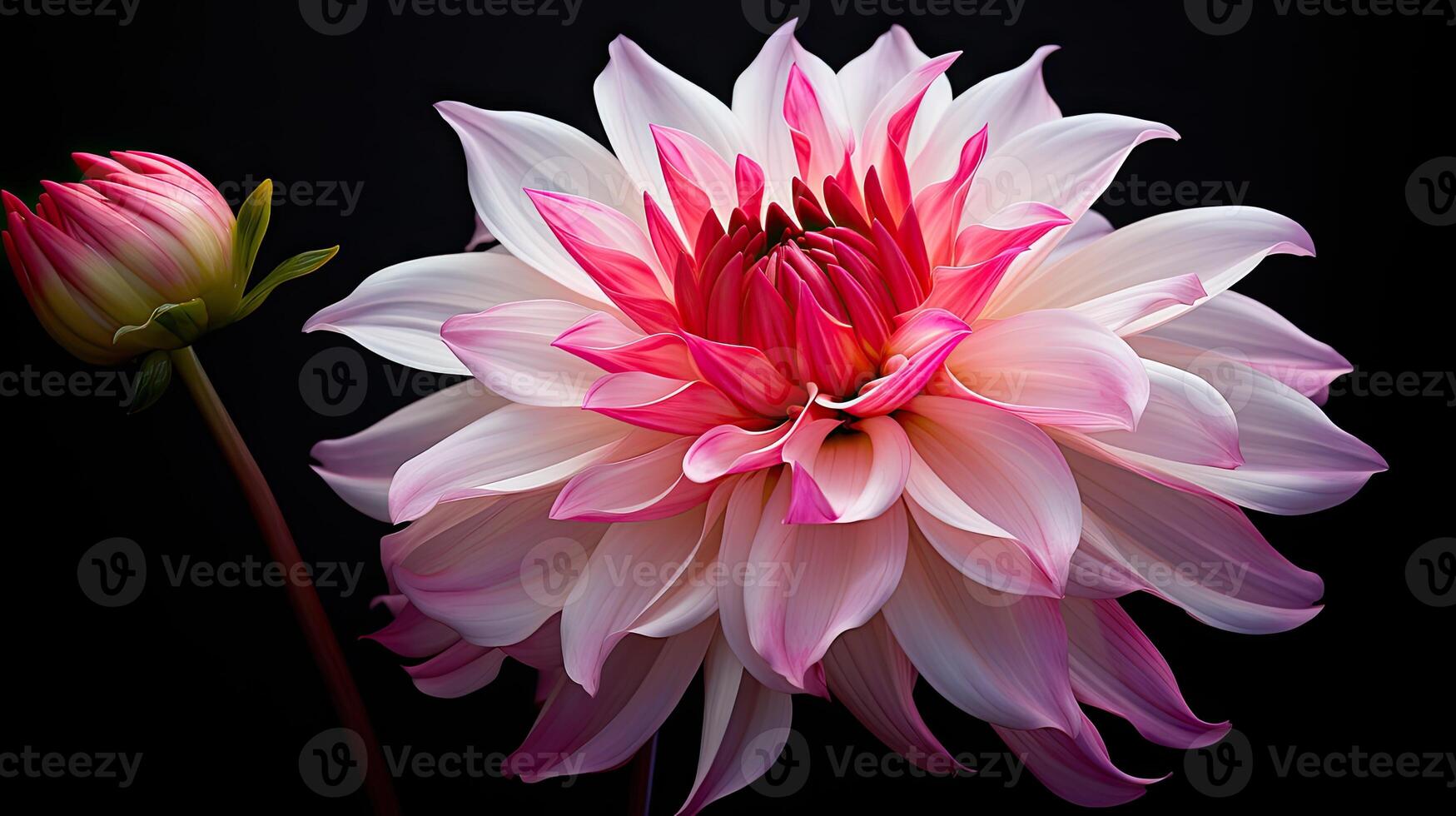 AI generated jasmine asian flower ai generated photo