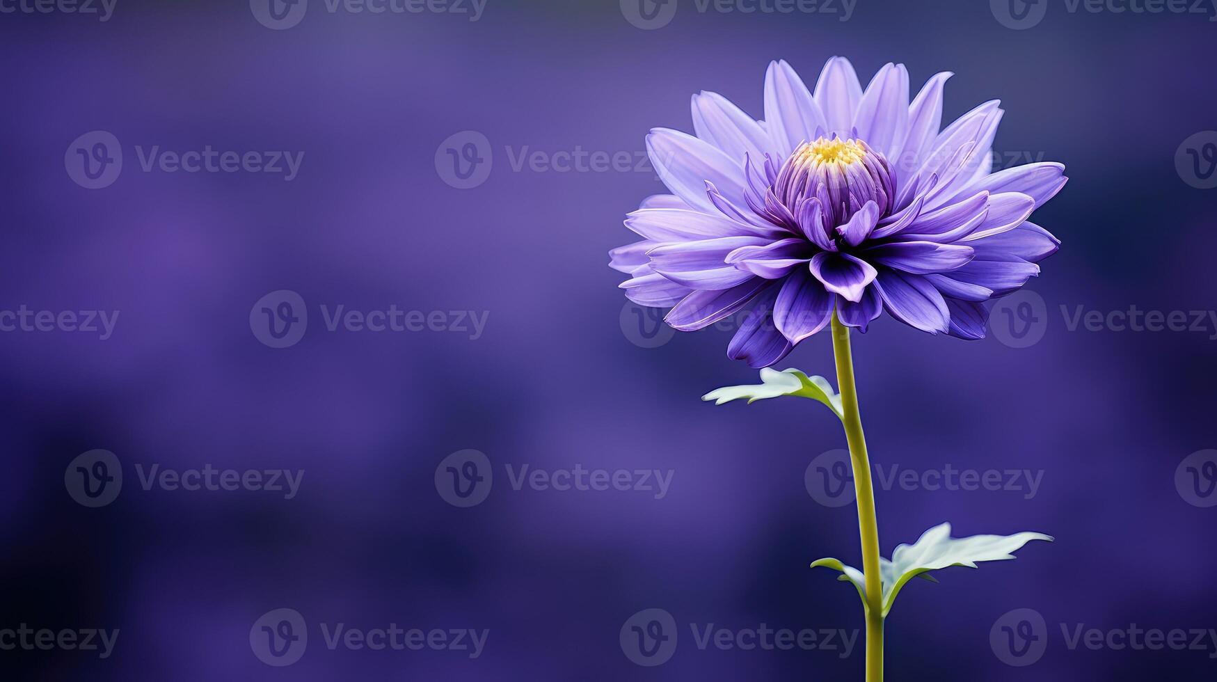 AI generated violet single purple flower ai generated photo