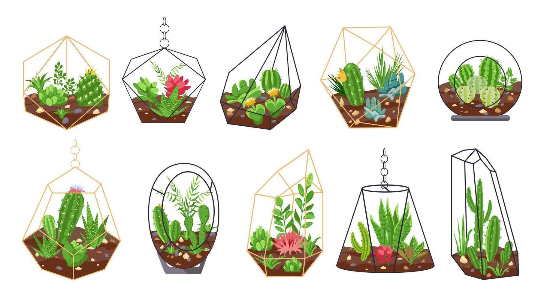 Florarium plants. Tropical cactus, flowers and succulents in geometric glass terrariums. Botanical interior decor. Mini gardens vector set