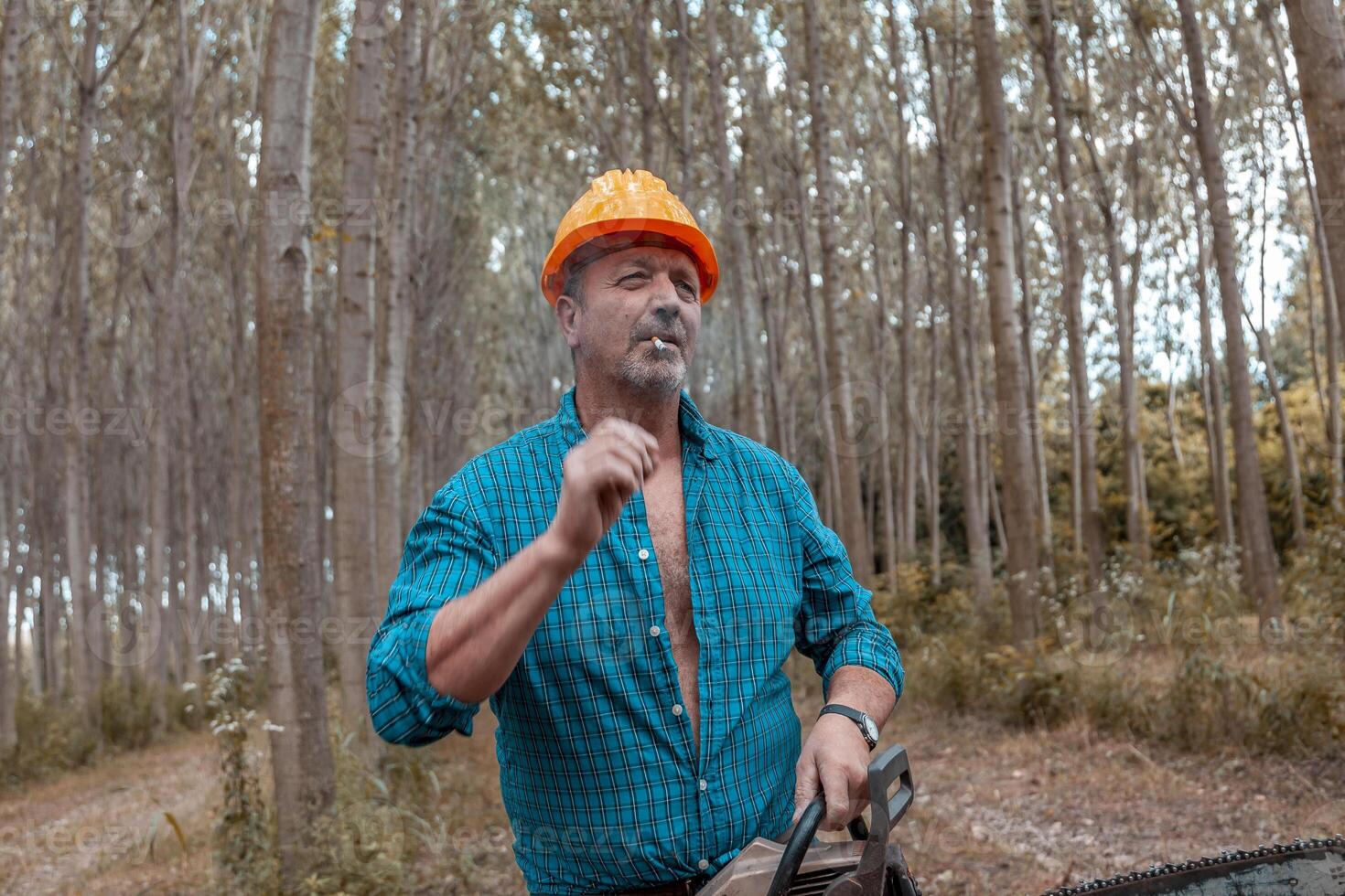 lumberjack in action at work in a forest photo