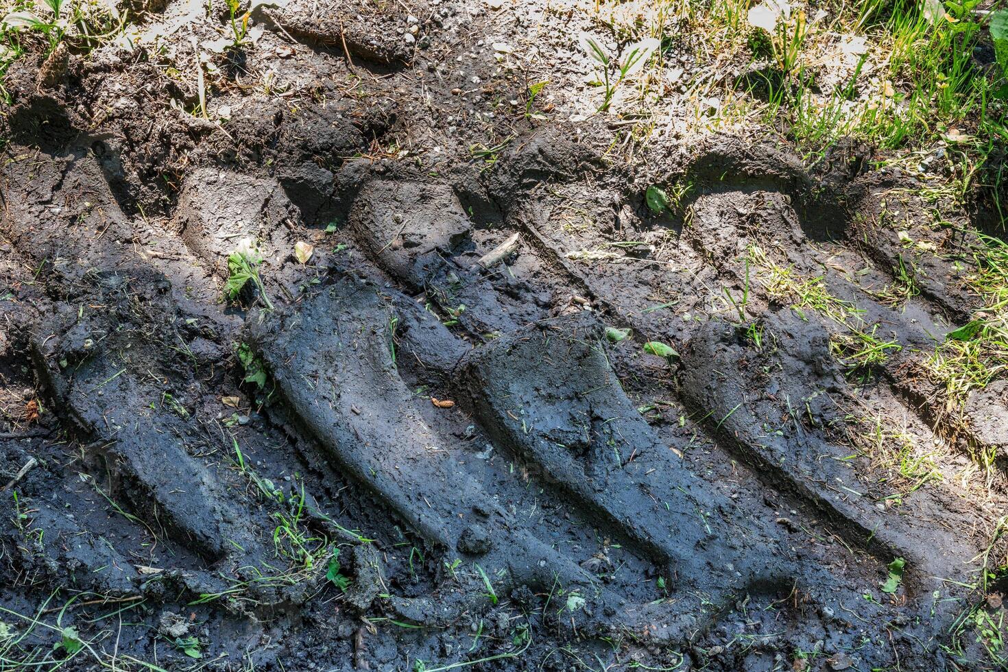 Tracks left in the mud by a tractor. Close up photo