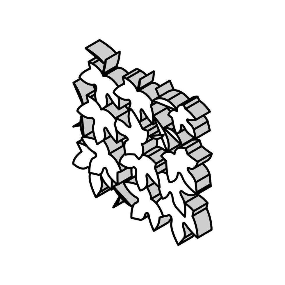 hedera helix isometric icon vector illustration
