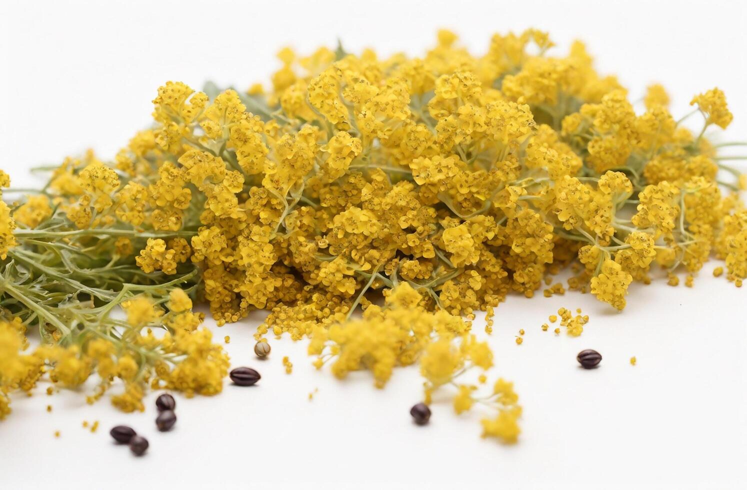 AI generated Mustard flowers over white background photo