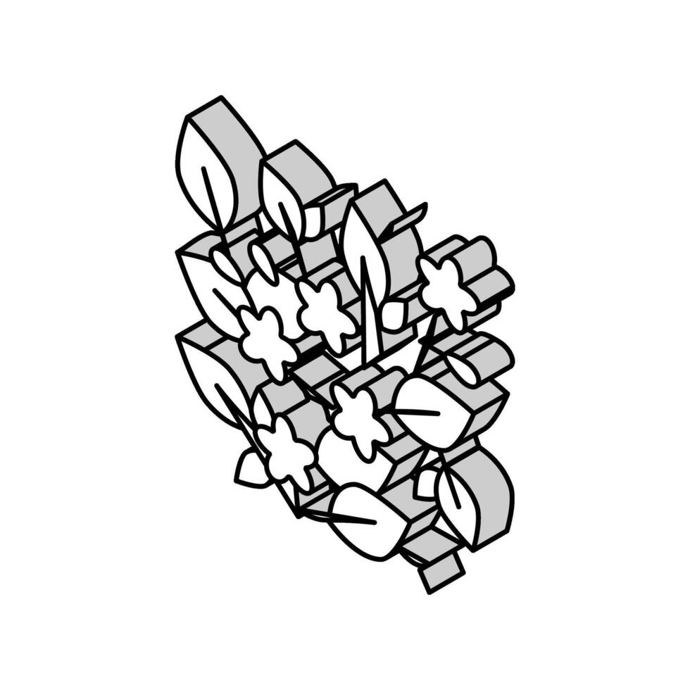 carolino jazmín isométrica icono vector ilustración