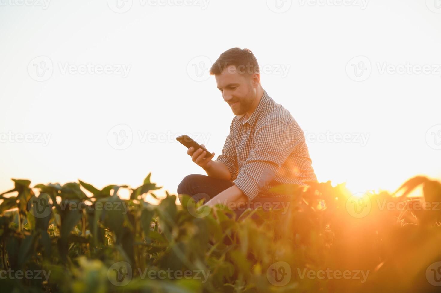 Agronomist inspecting soya bean crops growing in the farm field. Agriculture production concept. young agronomist examines soybean crop on field in summer. Farmer on soybean field. photo
