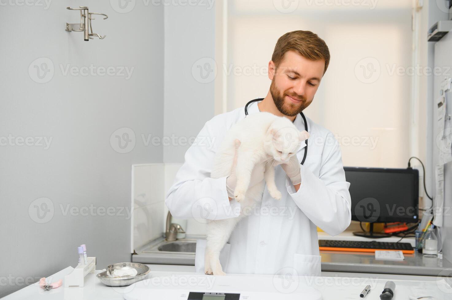 hermoso joven veterinario participación gato en clínica foto