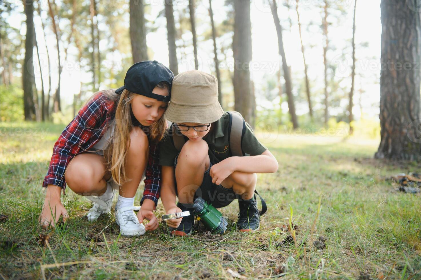 kids scouts in the forest. photo