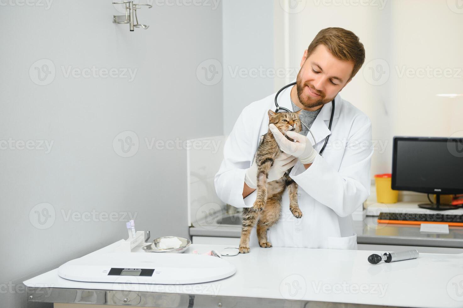 Handsome young veterinarian holding cat in clinic photo