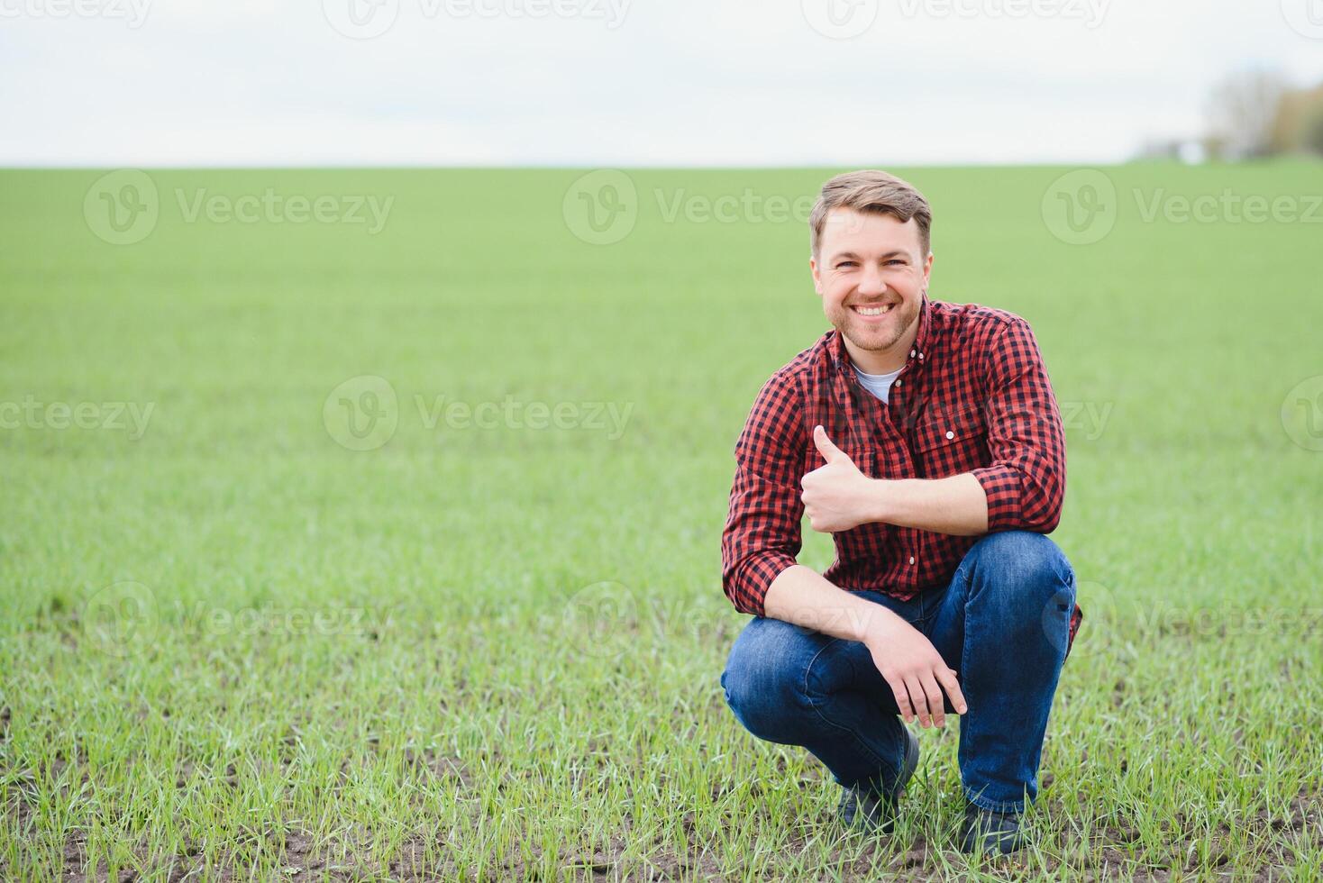 A young farmer inspects the quality of wheat sprouts in the field. The concept of agriculture photo