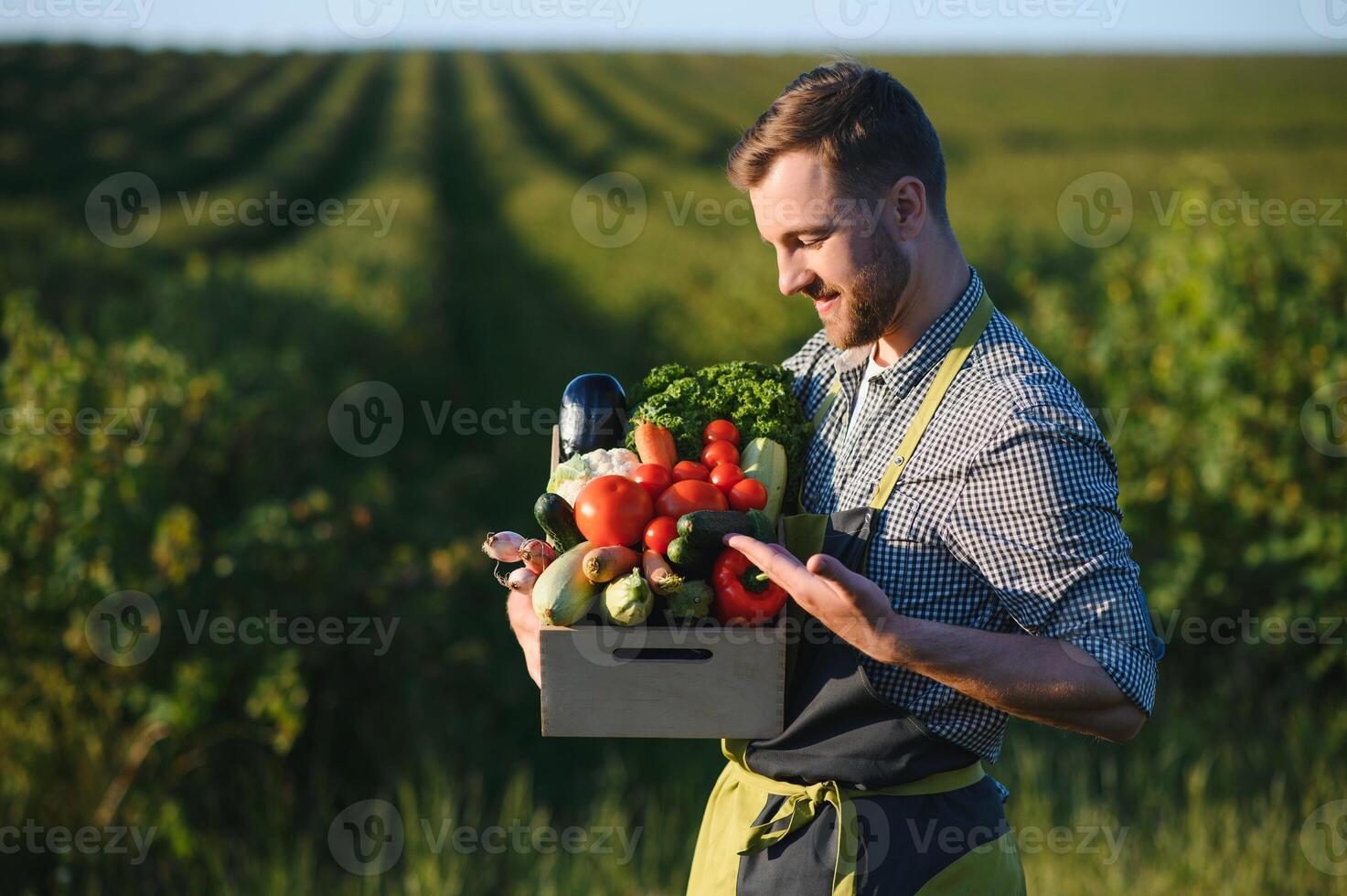 A male farmer with a box of fresh vegetables walks along her field. Healthy Eating and Fresh Vegetables photo