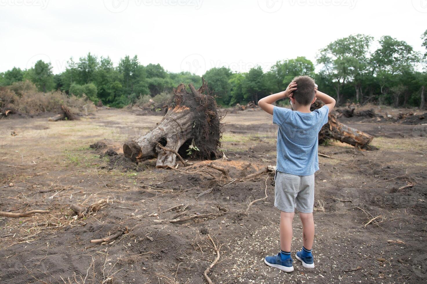 deforestation A sad boy stands in the middle of a cut forest. photo