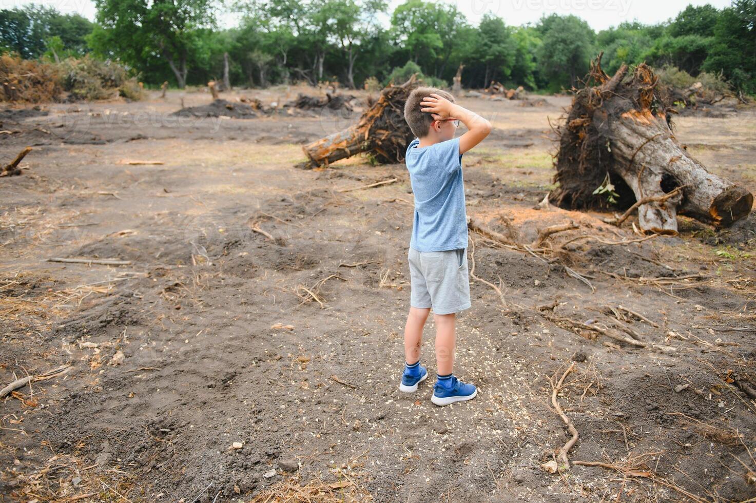 the concept of nature protection. Deforestation. photo