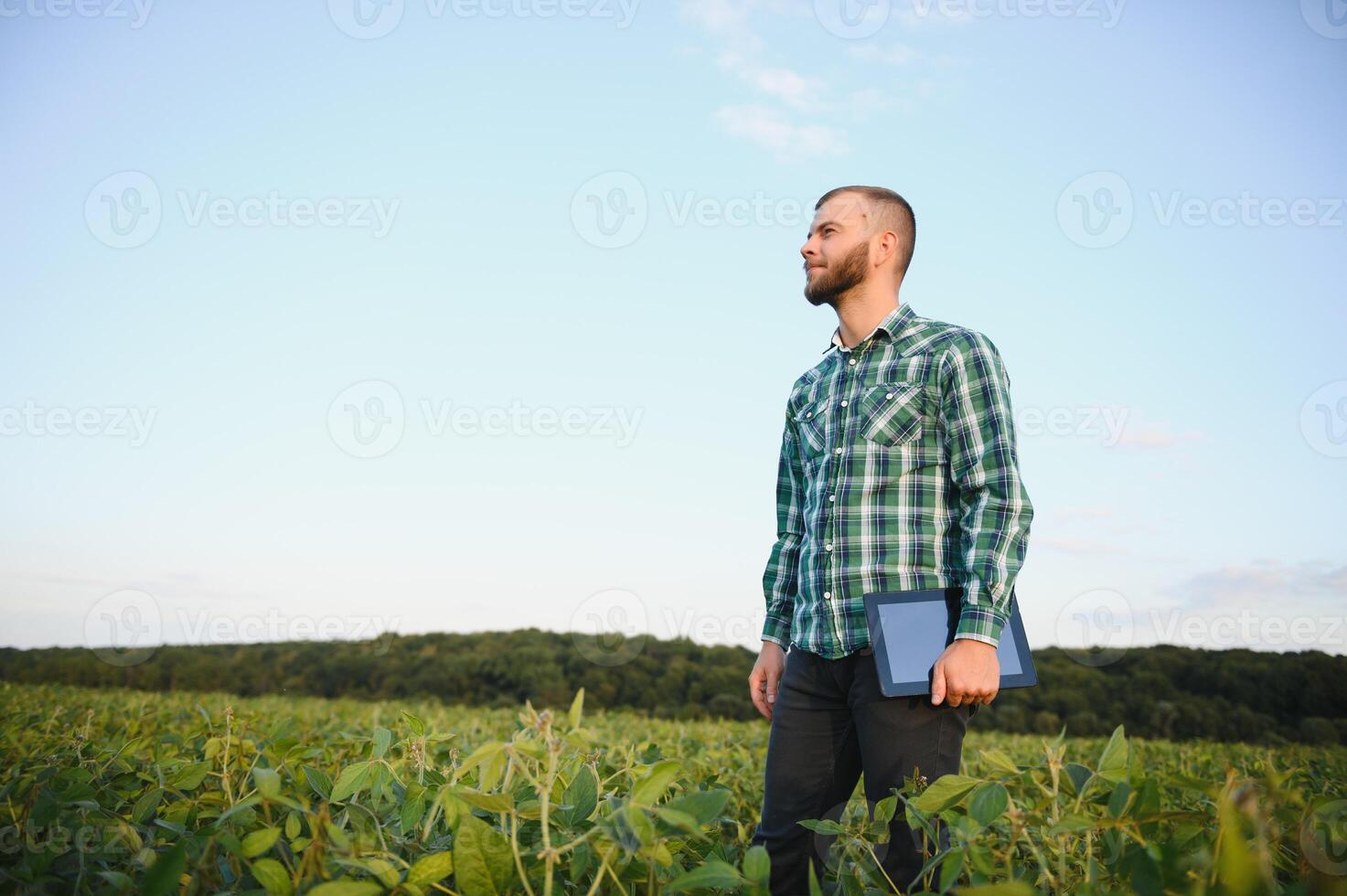 Young agronomist holds tablet touch pad computer in the soy field and examining crops before harvesting. Agribusiness concept. agricultural engineer standing in a soy field with a tablet in summer. photo
