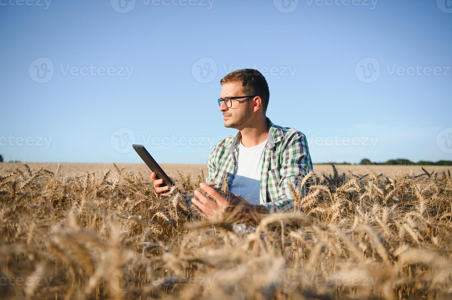 joven agrónomo en grano campo. cereal agricultura foto