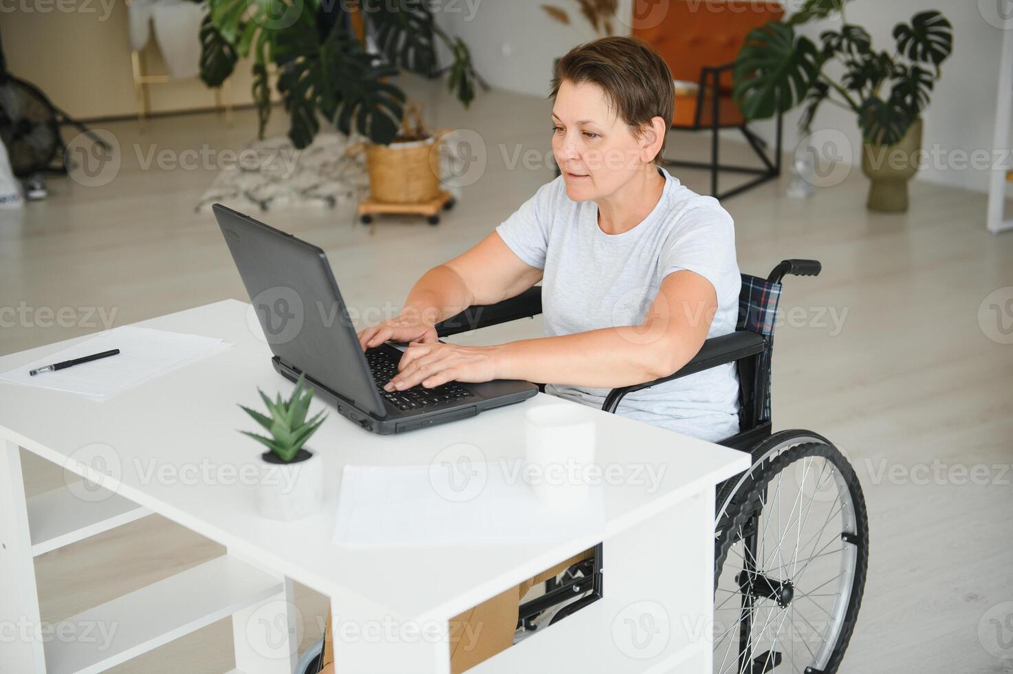 Positive elderly woman in wheelchair working on laptop, IT freelancer, online photo