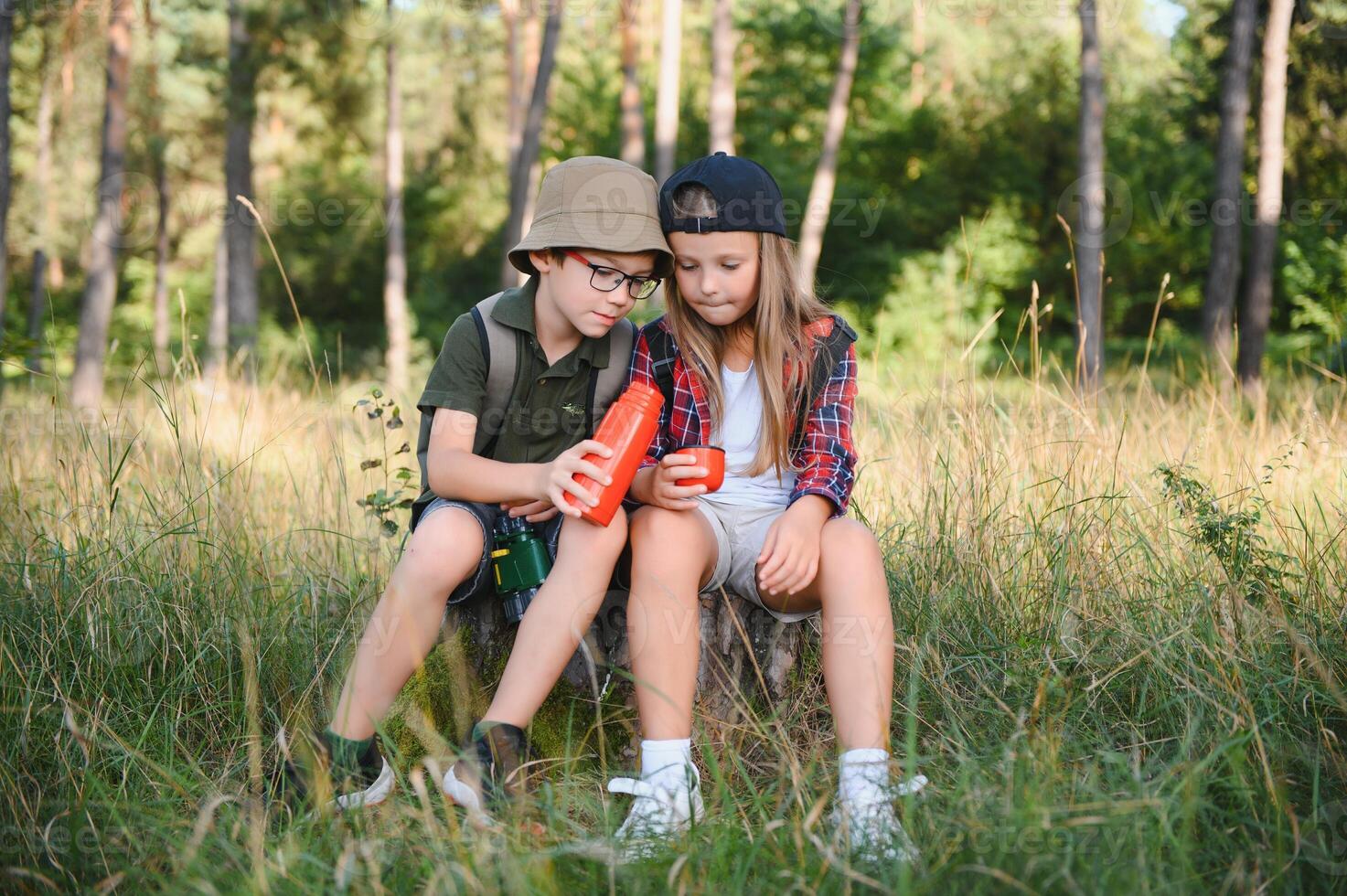 kids scouts in the forest. photo