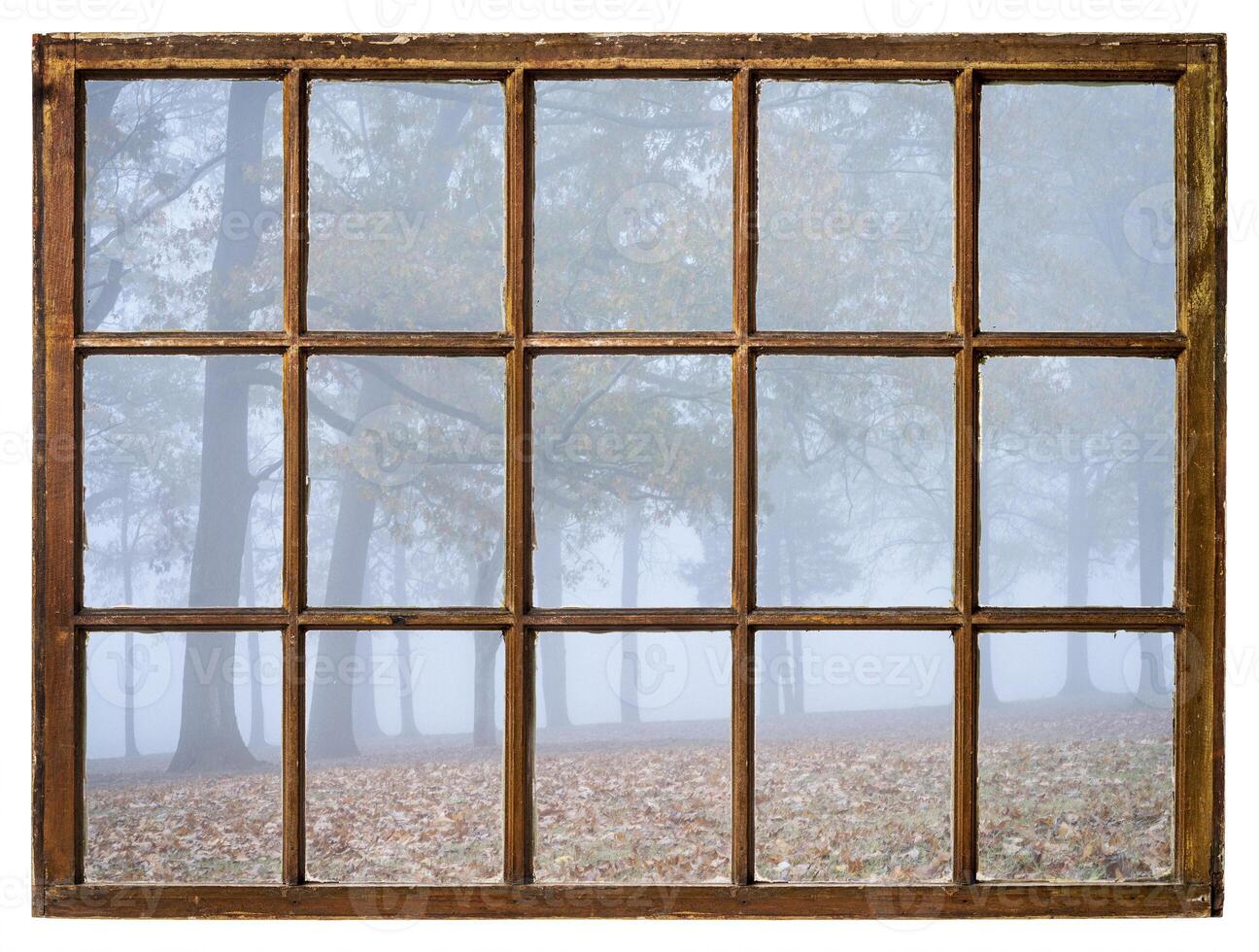 foggy November morning on a shore of a river or lake as seen from a retro sash window photo