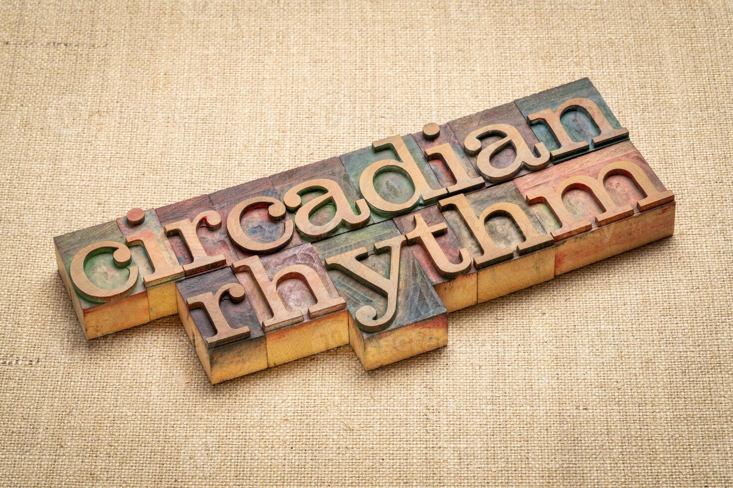 circadian rhythm word abstract in wood type photo