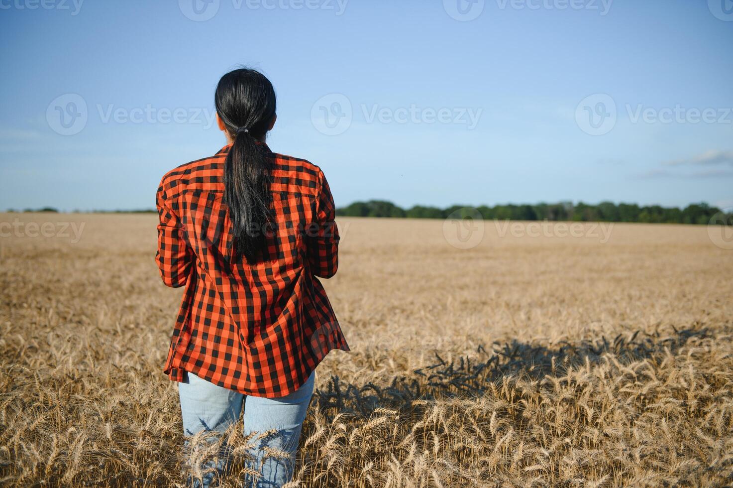 Woman farmer agronomist working in grain field and planning income of harvest. Female examining and checking quality control of produce wheat crop. Agriculture management and agribusiness photo