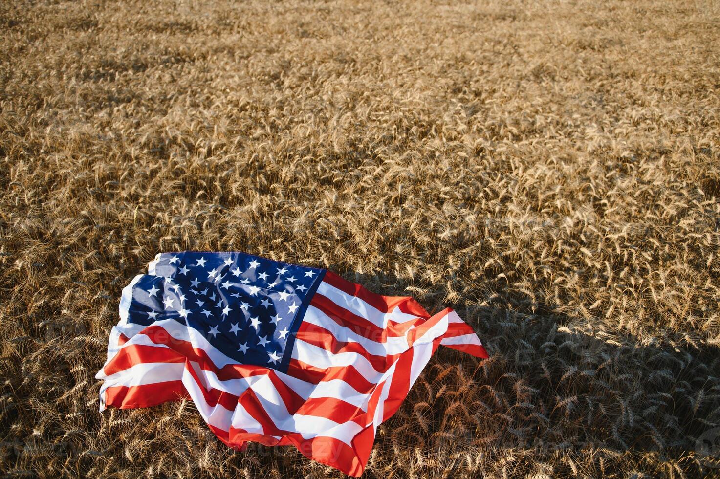 Estados Unidos americano bandera esparcido en el dorado trigo campo. foto
