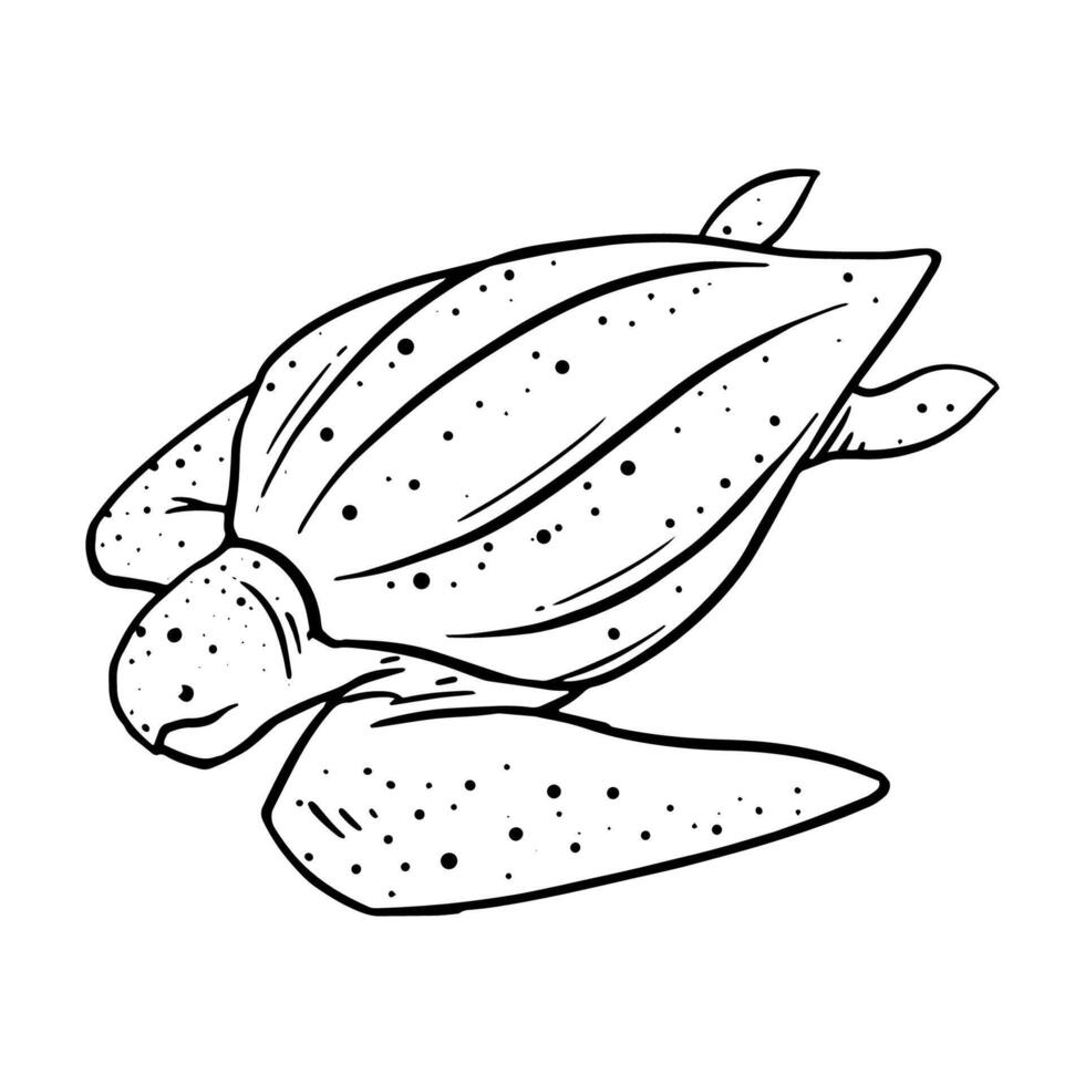 Leatherback turtle icon. Hand drawn vector illustration. Sea animal creature reptilian.