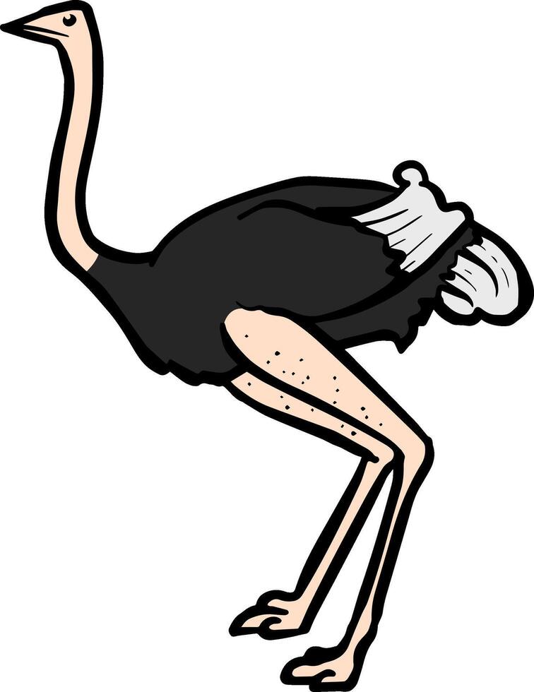 Hand drawn ostrich color vector illustration
