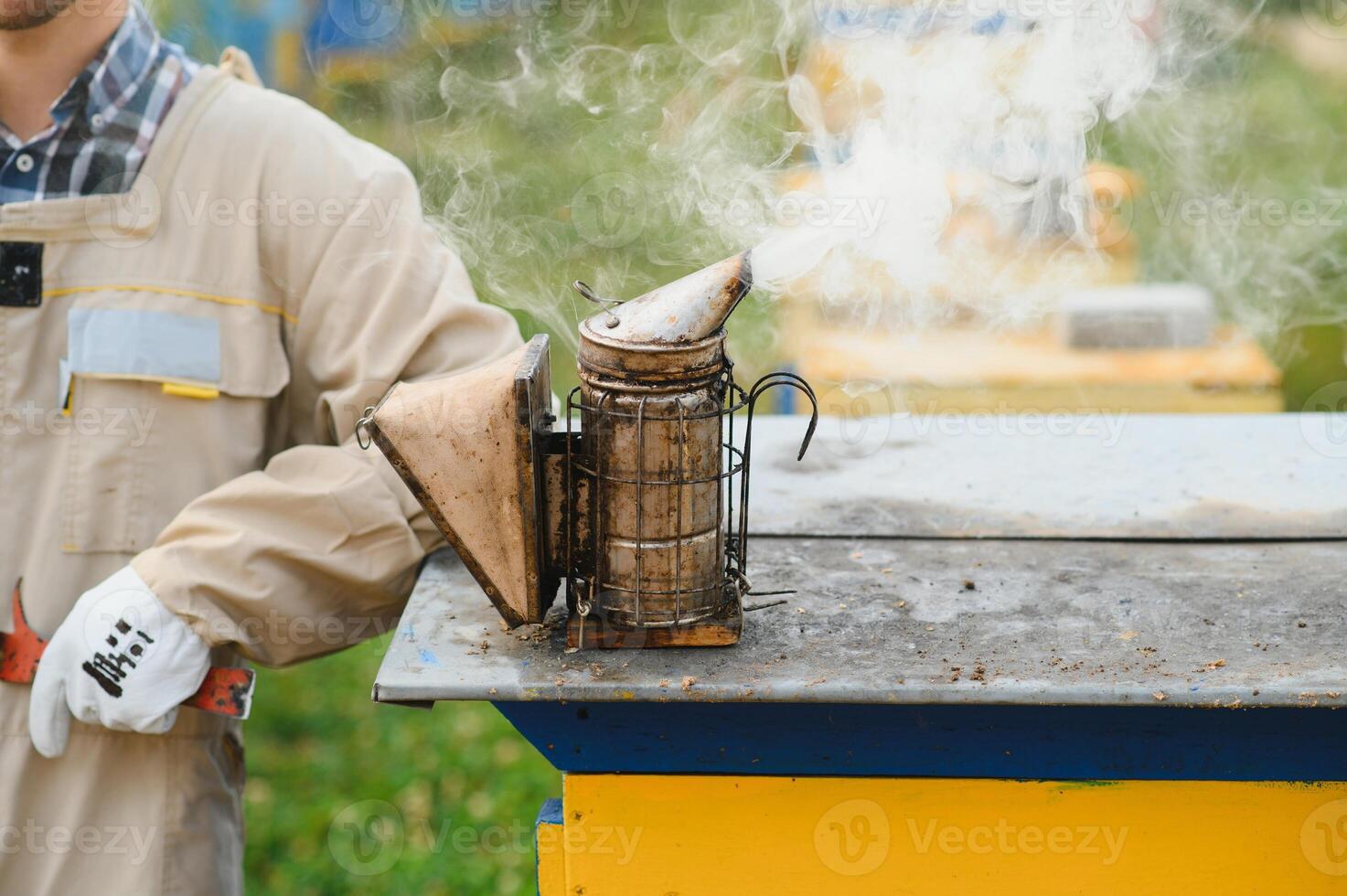 apicultor es trabajando con abejas y colmenas en colmenar. abejas en panal. marcos de abeja colmena. apicultura. Miel. sano alimento. natural productos foto