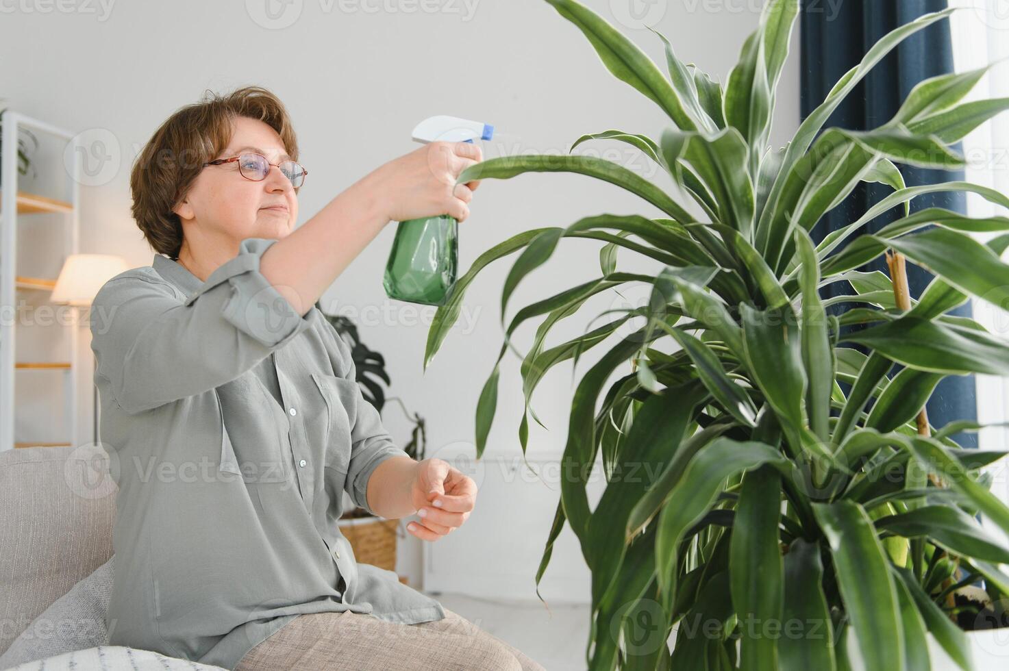 Home gardening. Happy senior woman with glasses caring for the plant. Smiling elderly woman spraying aloe vera with a spray bottle. Indoor care and love for indoor plants. photo