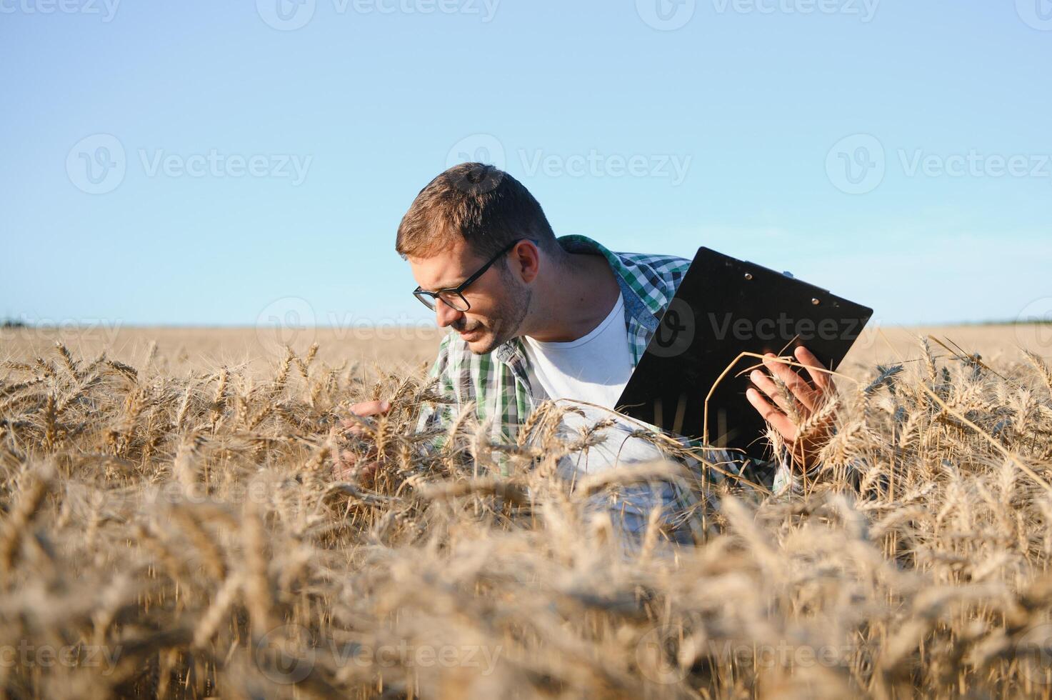 Young agronomist in grain field. Cereal farming photo