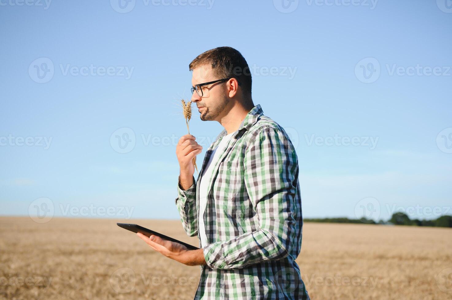 Young agronomist in grain field. Cereal farming photo
