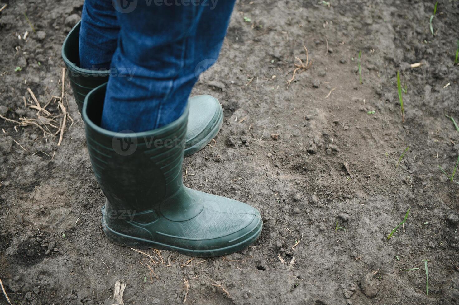 A farmer in boots works with his tablet in a field sown in spring. An agronomist walks the earth, assessing a plowed field in autumn. Agriculture. Smart farming technologies photo