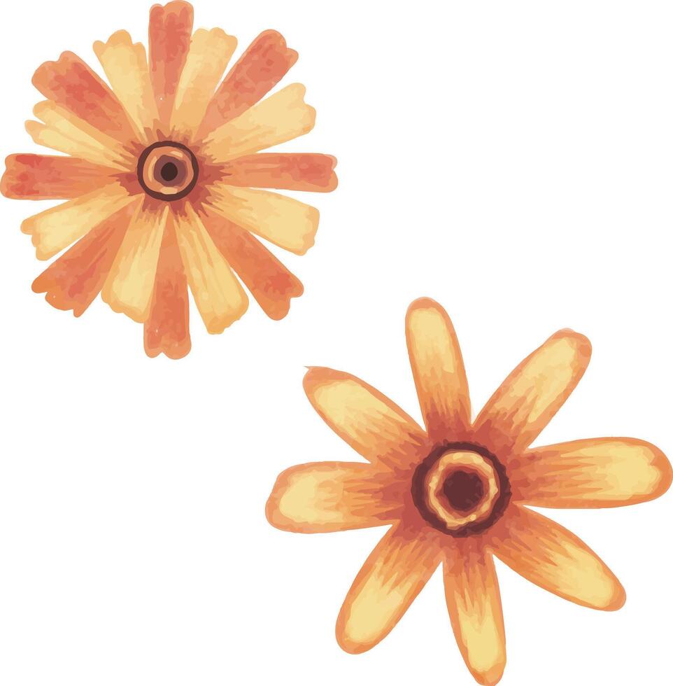 flor, naturaleza, naranja, margarita, amarillo, floral, macro, gerbera, planta, floración, verano, flora, florecer, primavera, belleza, flores, pétalo, rosa, pétalos, jardín, gerbera, color, hermoso, brillante, de cerca vector