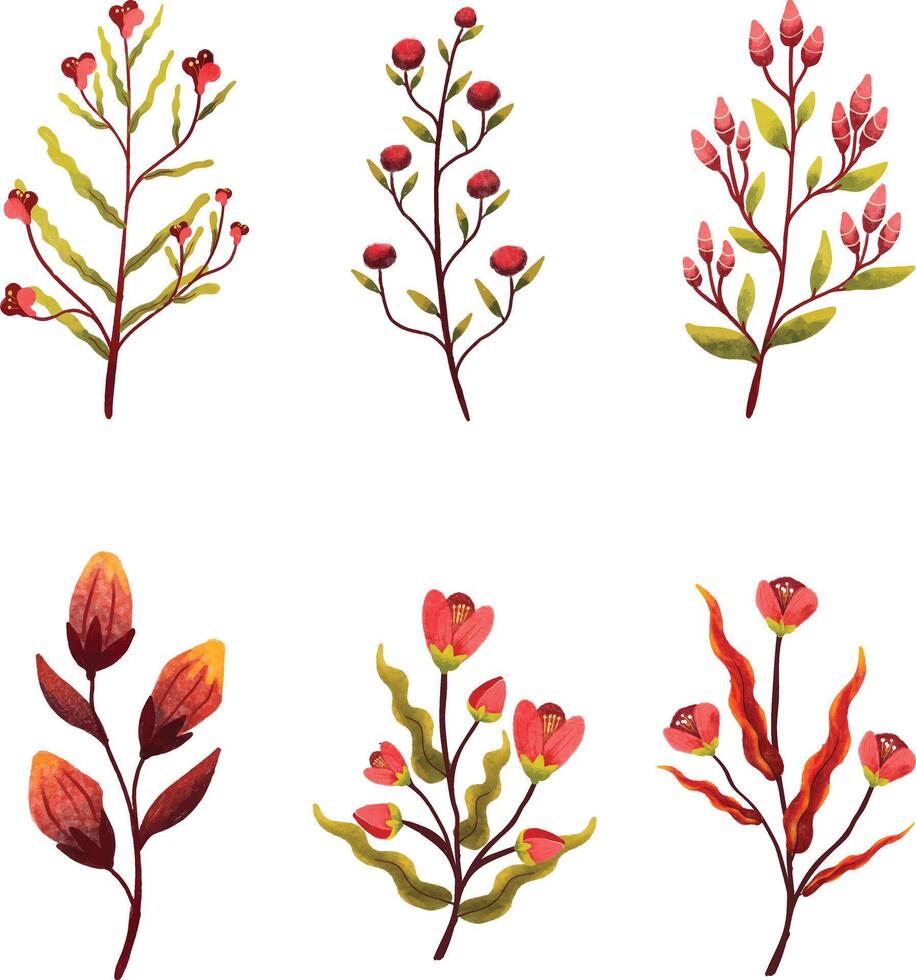 flor, tulipán, aislado, primavera, naturaleza, rojo, blanco, planta, verde, rosa, florecer, floración, hoja, belleza, hermoso, pétalo, lirio, floral, soltero, flora, color, flores, provenir, ramo, verano vector