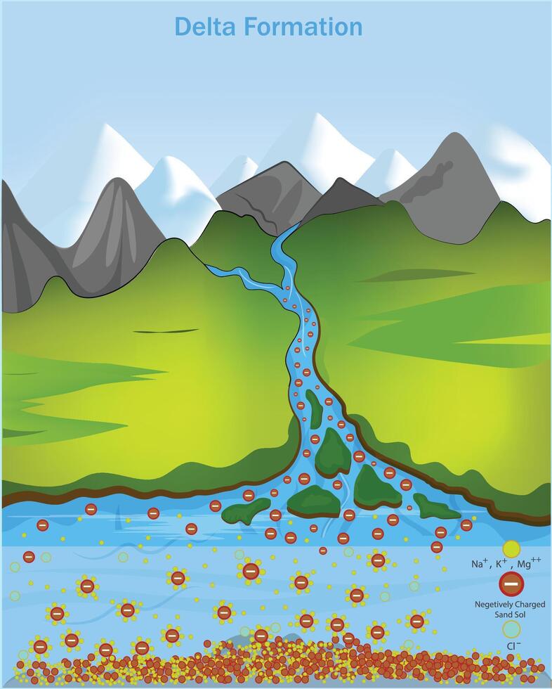 delta formación a el río boca por el coagulación de el partícula en presencia de electrólito desde salina agua vector