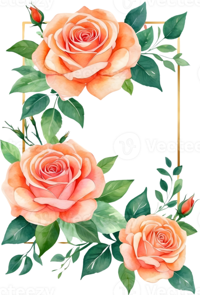 AI generated watercolor Orange roses  on transparent background png