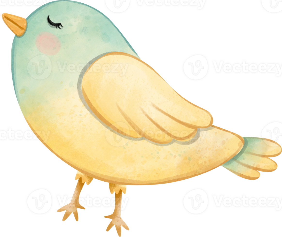 Church Bird Watercolor Illustration, cute bird watercolor illustration for element easter png