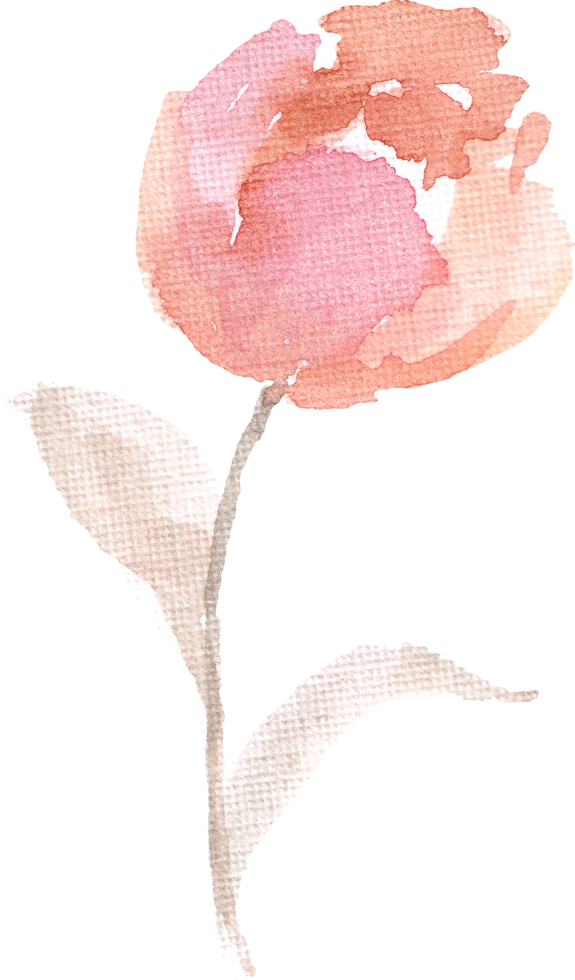 Tulip Watercolor Flower for Wedding Invitation png