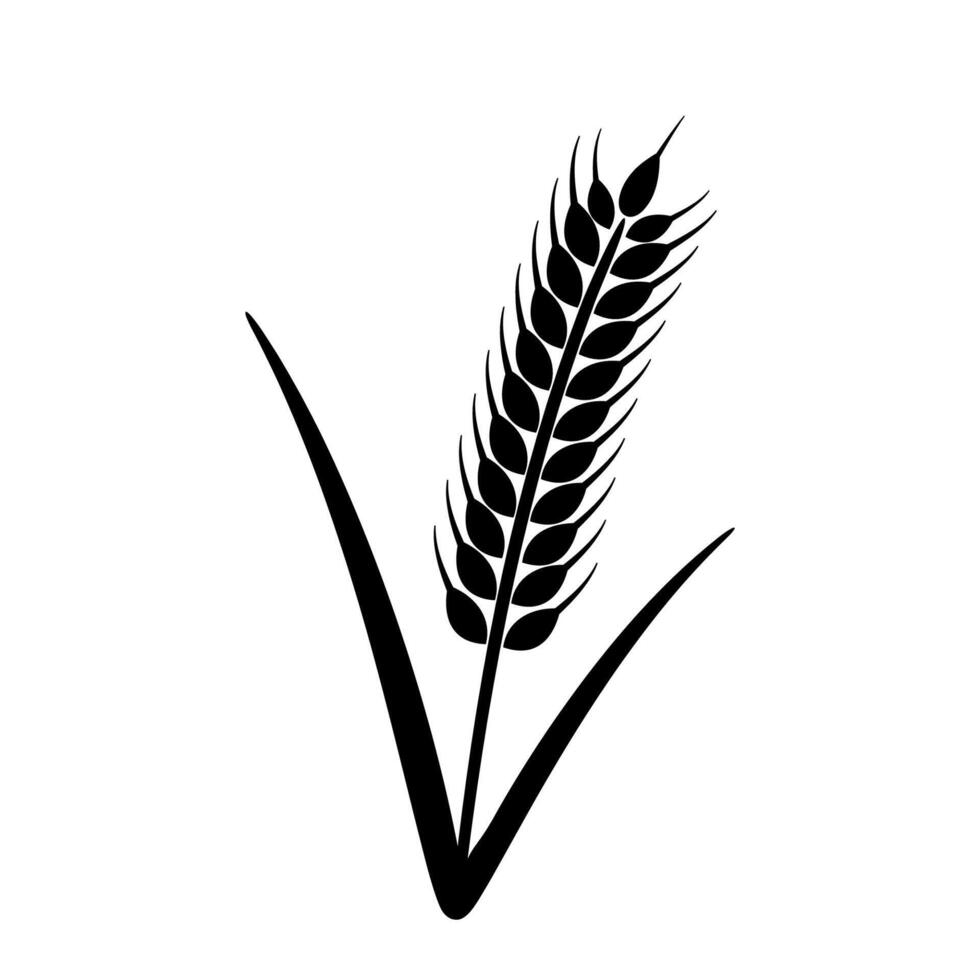 Ear of Wheat, Barley or Rye. Vector graphic icon, ideal for bread packaging, beer label. Illustration isolated on white background