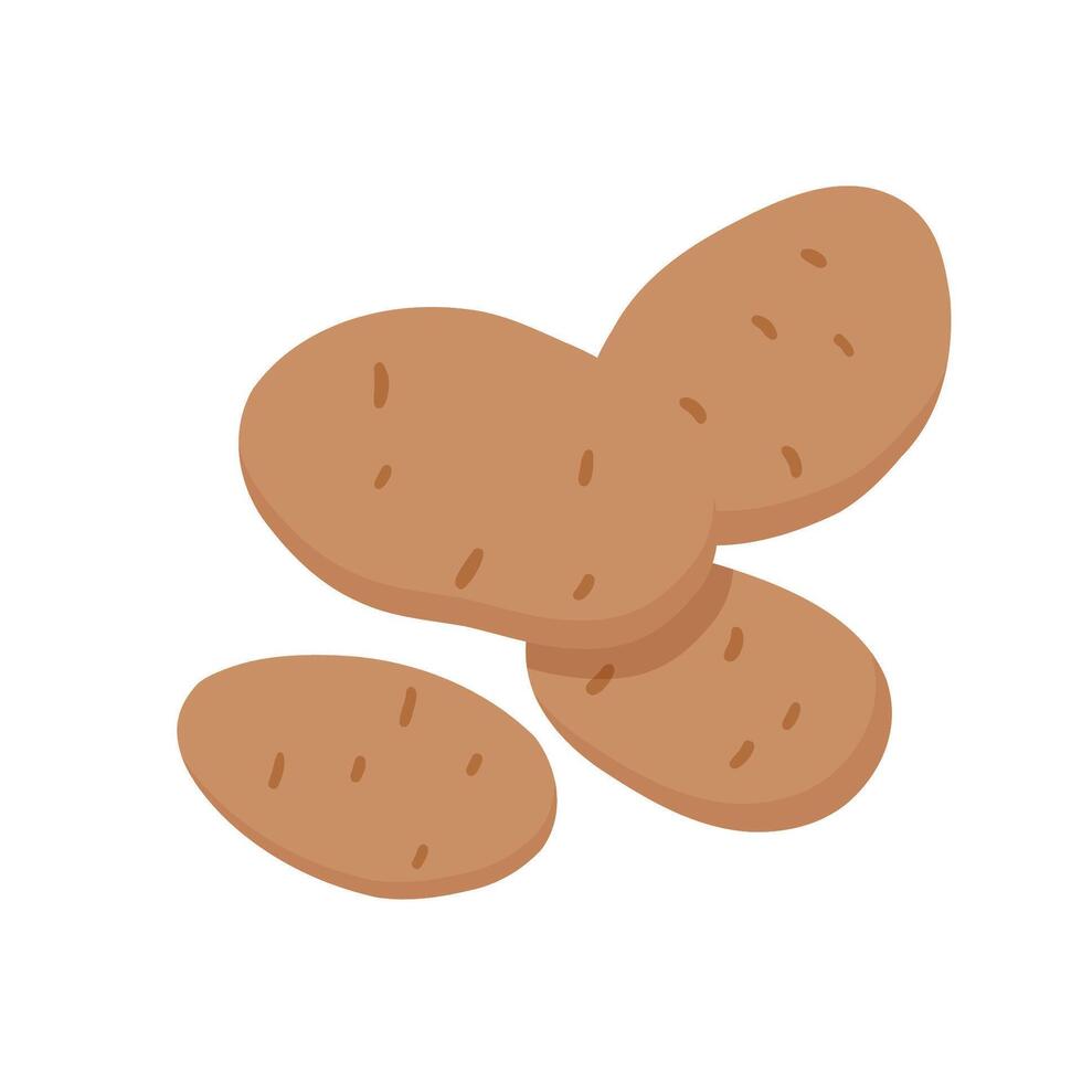 Potato vegetable isolated on white background. Vector flat clipart.