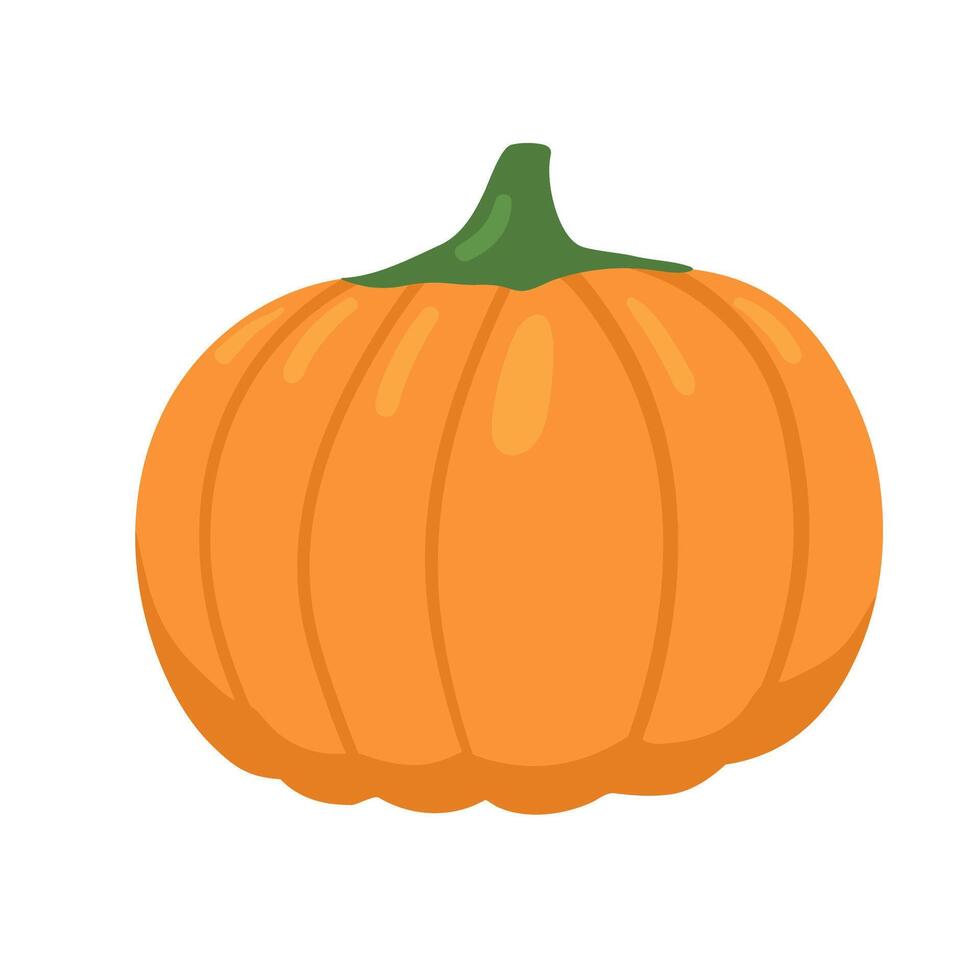 Pumpkin flat cartoon illustration. Hand drawn autumn vegetable isolated on white. Fall harvest. vector