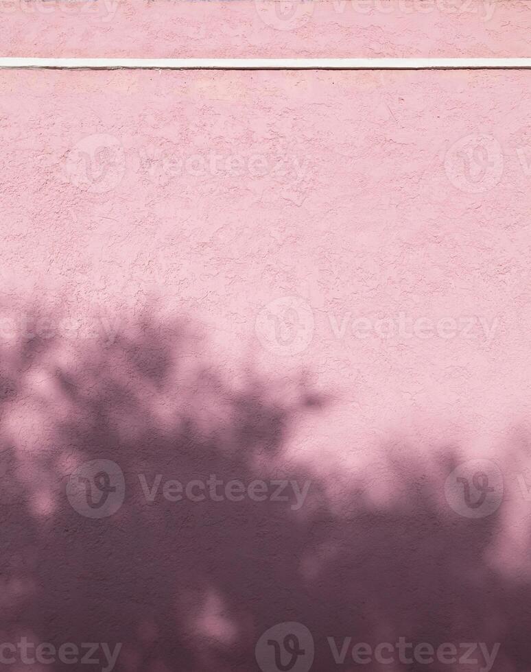 pink wall photography with sunlight and shadows from trees photo