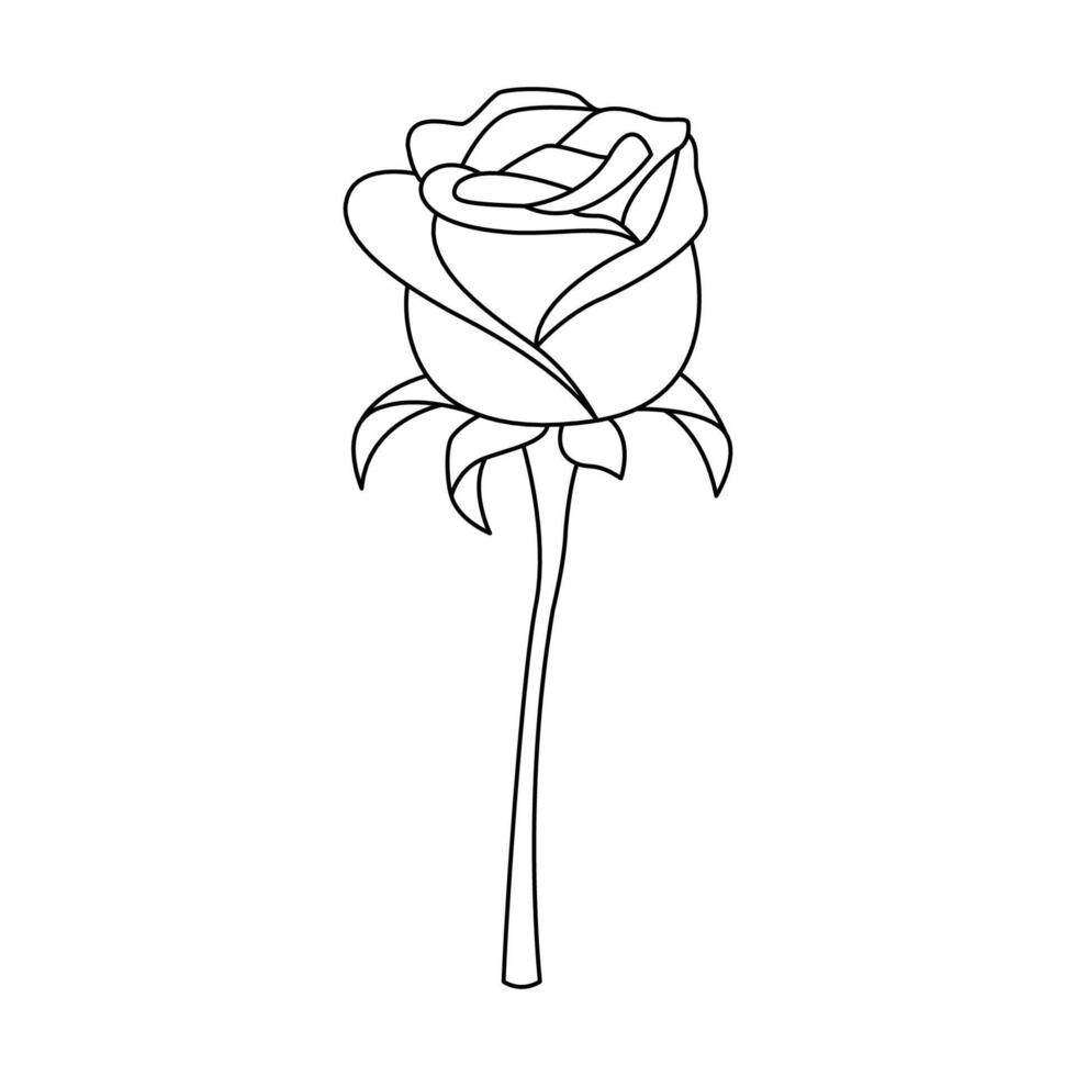 The Illustration of Rose Flower vector