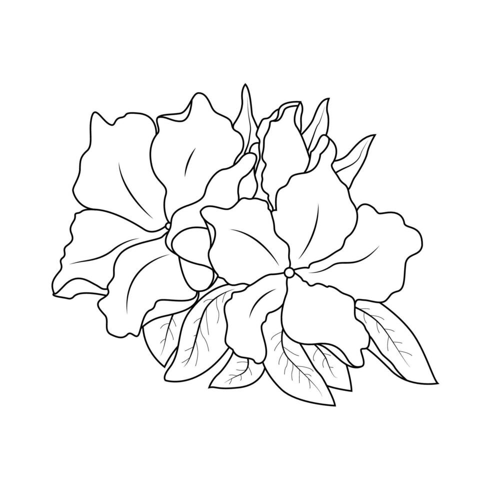 The Illustration of Azaleas Flower vector