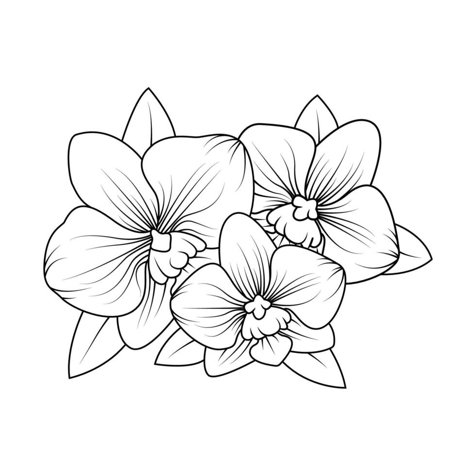 el ilustración de orquídea flor vector